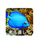 魚が好きなんです（個別スタンプ：5）