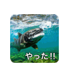 魚が好きなんです（個別スタンプ：8）