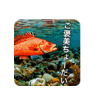 魚が好きなんです（個別スタンプ：9）