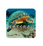 魚が好きなんです（個別スタンプ：17）