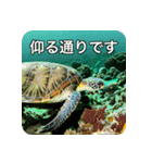 魚が好きなんです（個別スタンプ：18）