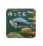 魚が好きなんです（個別スタンプ：22）