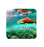 魚が好きなんです（個別スタンプ：27）