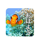 魚が好きなんです（個別スタンプ：33）