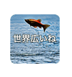 魚が好きなんです（個別スタンプ：35）