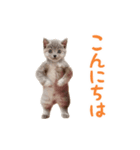 ▶︎踊る！ねこちゃん‼︎（個別スタンプ：10）