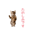 ▶︎踊る！ねこちゃん‼︎（個別スタンプ：12）