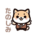 がっつり柴犬（個別スタンプ：10）