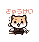 がっつり柴犬（個別スタンプ：12）