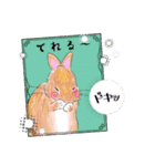 うさぎのスタンプ♡3（個別スタンプ：20）