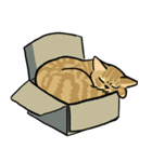 ますだ家の猫（個別スタンプ：6）