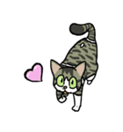 ますだ家の猫（個別スタンプ：7）