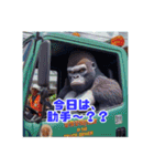 弱音を吐かないゴリラ運転手（個別スタンプ：9）