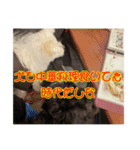 わんころぴーや（個別スタンプ：13）