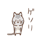 usamusiのスタンプ11 猫（個別スタンプ：14）