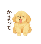 かまってほしい犬スタンプ（個別スタンプ：1）