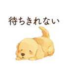 かまってほしい犬スタンプ（個別スタンプ：16）