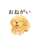 かまってほしい犬スタンプ（個別スタンプ：23）