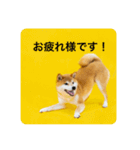 豆の日常02（個別スタンプ：2）