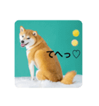 豆の日常02（個別スタンプ：6）