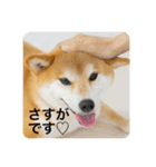 豆の日常02（個別スタンプ：8）