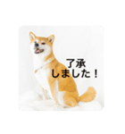 豆の日常02（個別スタンプ：9）