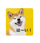豆の日常02（個別スタンプ：10）