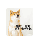 豆の日常02（個別スタンプ：11）