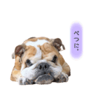 I am 28 ♥ part.7（個別スタンプ：4）