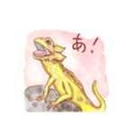 丁寧に生きたいトカゲたち（個別スタンプ：9）