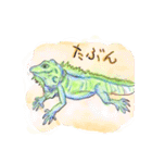 丁寧に生きたいトカゲたち（個別スタンプ：11）