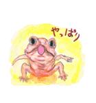 丁寧に生きたいトカゲたち（個別スタンプ：12）