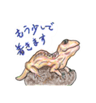 丁寧に生きたいトカゲたち（個別スタンプ：14）