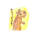 丁寧に生きたいトカゲたち（個別スタンプ：16）