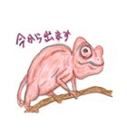 丁寧に生きたいトカゲたち（個別スタンプ：18）