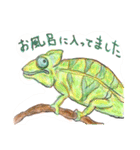 丁寧に生きたいトカゲたち（個別スタンプ：20）
