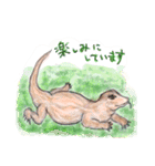 丁寧に生きたいトカゲたち（個別スタンプ：23）