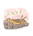 丁寧に生きたいトカゲたち（個別スタンプ：24）