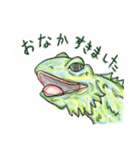 丁寧に生きたいトカゲたち（個別スタンプ：27）