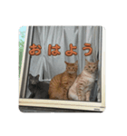 ちゃぴもかすみこ（個別スタンプ：3）