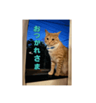 ちゃぴもかすみこ（個別スタンプ：4）