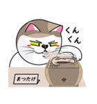 表情豊かなユニーク猫にゃんのスタンプ5（個別スタンプ：14）