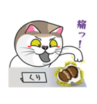 表情豊かなユニーク猫にゃんのスタンプ5（個別スタンプ：16）