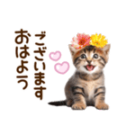 子猫のかわいい敬語（個別スタンプ：1）