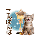 子猫のかわいい敬語（個別スタンプ：4）