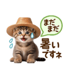 子猫のかわいい敬語（個別スタンプ：6）