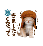 子猫のかわいい敬語（個別スタンプ：7）