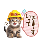 子猫のかわいい敬語（個別スタンプ：11）