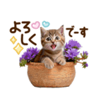 子猫のかわいい敬語（個別スタンプ：14）