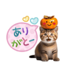 子猫のかわいい敬語（個別スタンプ：16）